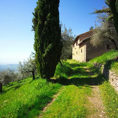 Cuore La Madreselva A