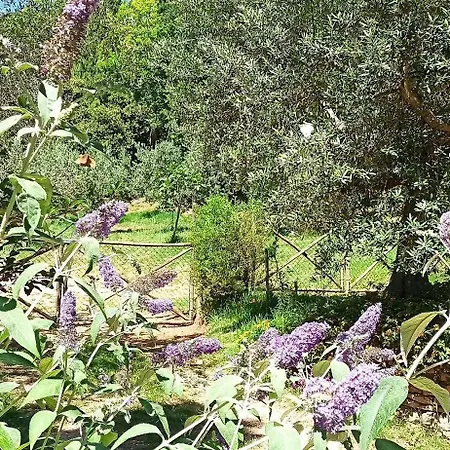 Cuore La Madreselva A * Spello