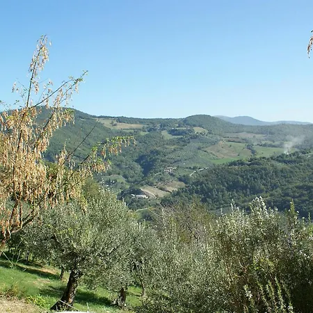 Cuore La Madreselva A *