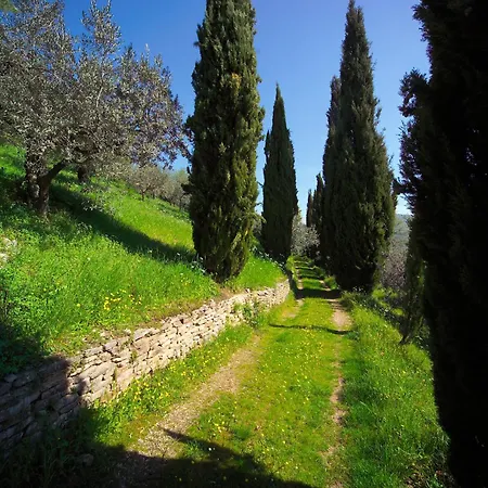 Cuore La Madreselva A Сasa de vacaciones