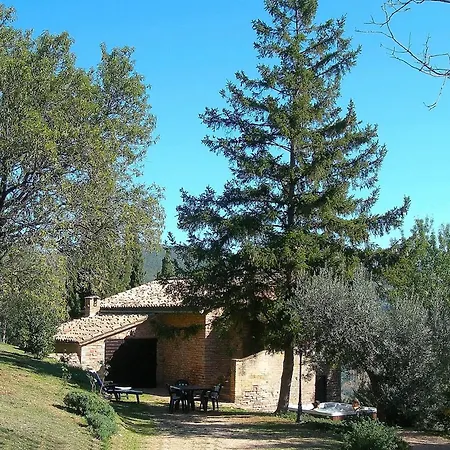 Cuore La Madreselva A *